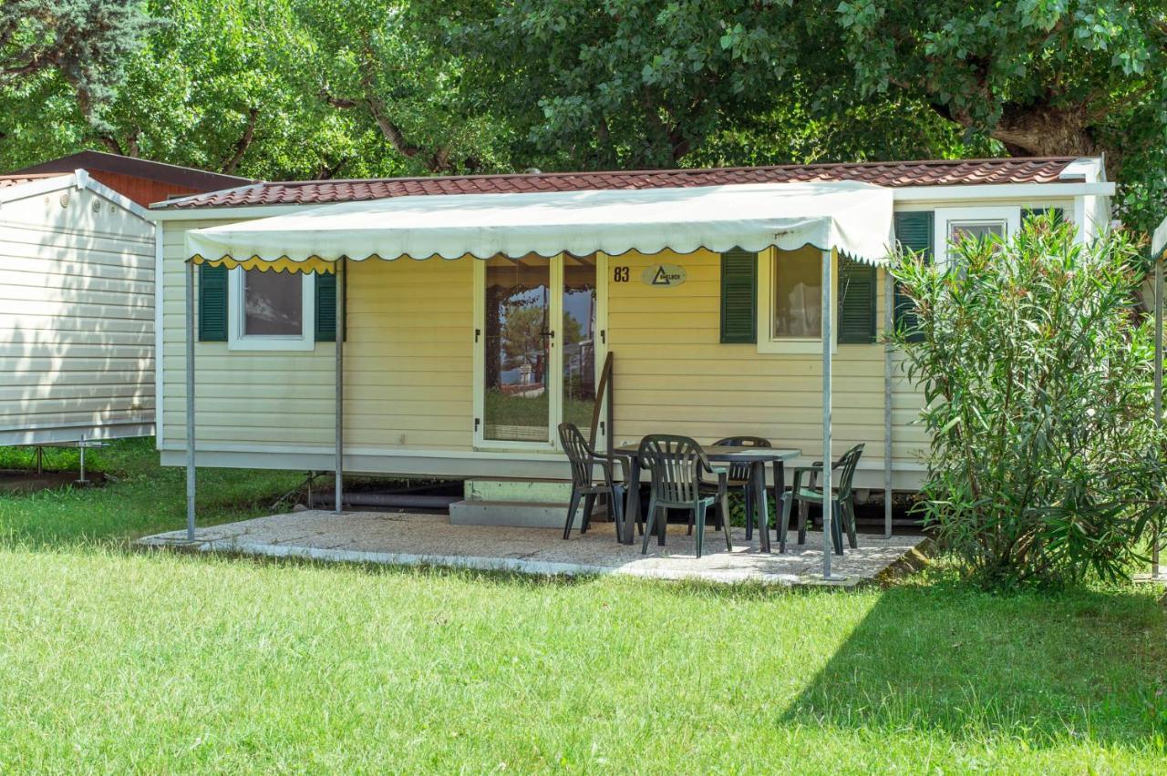 Camping Wien